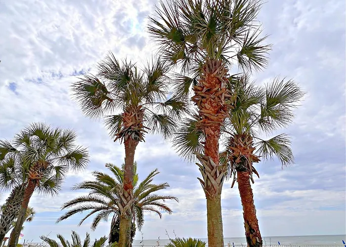 Surf Side Shores Holiday home *